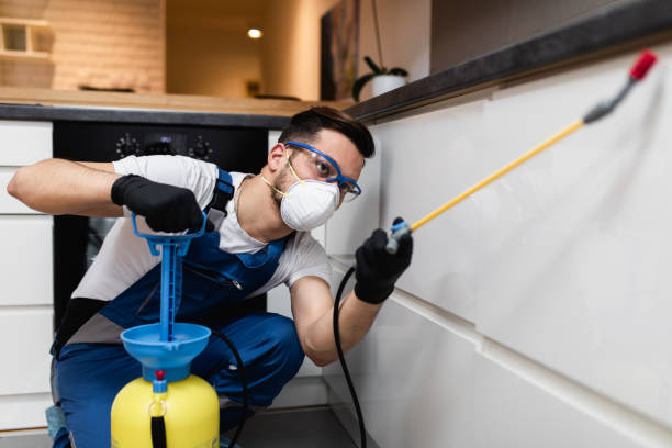 Best Pest Inspection Near Me  in Epworth, IA