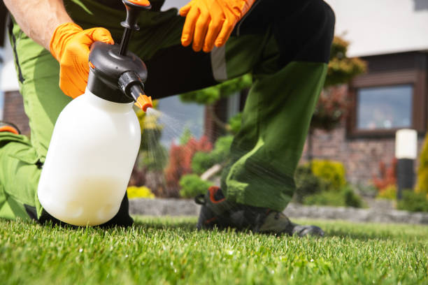 Best Termite Control Services  in Epworth, IA