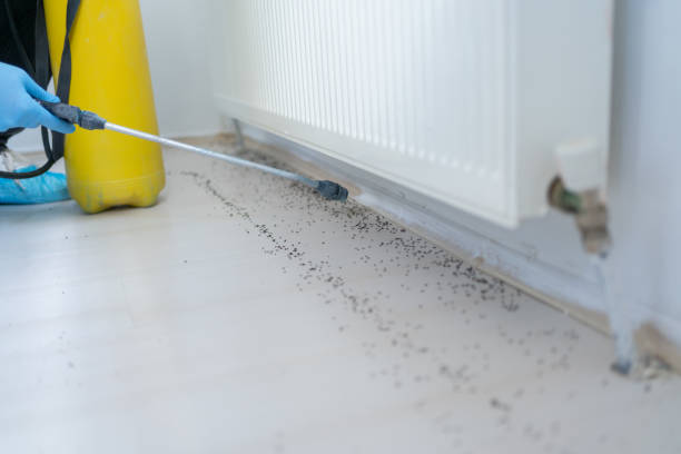 Best Best Pest Control Companies  in Epworth, IA
